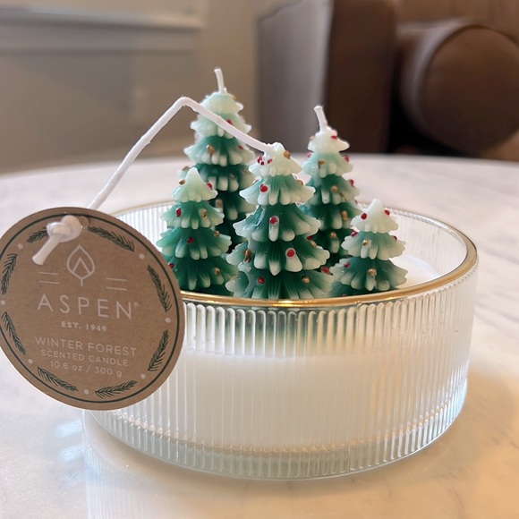 HomeGoods Holiday Nwt Aspen Winter Forest Christmas Tree Candle